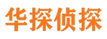 丰都侦探公司